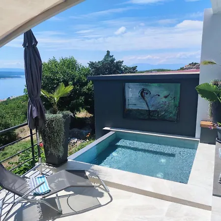 Art Gallery House With A Small Relaxing Pool * Crikvenica