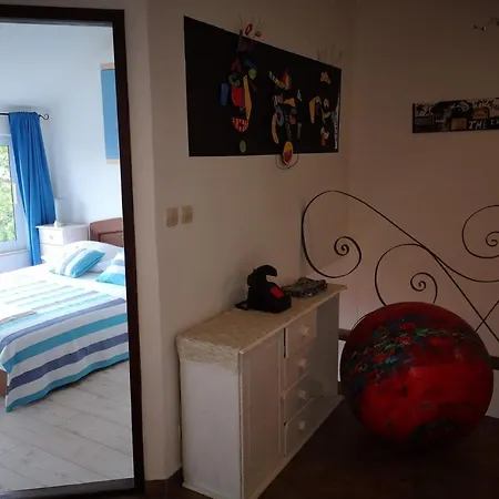 Art Gallery House With A Small Relaxing Pool Holiday home Crikvenica
