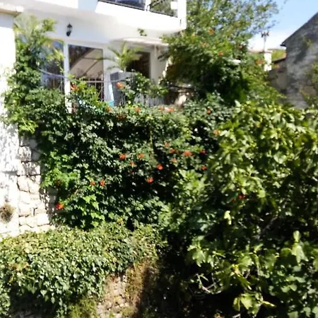 Art Gallery House With A Small Relaxing Pool * Crikvenica