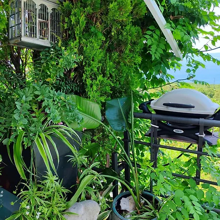펜션 Art Gallery House With A Small Relaxing Pool *