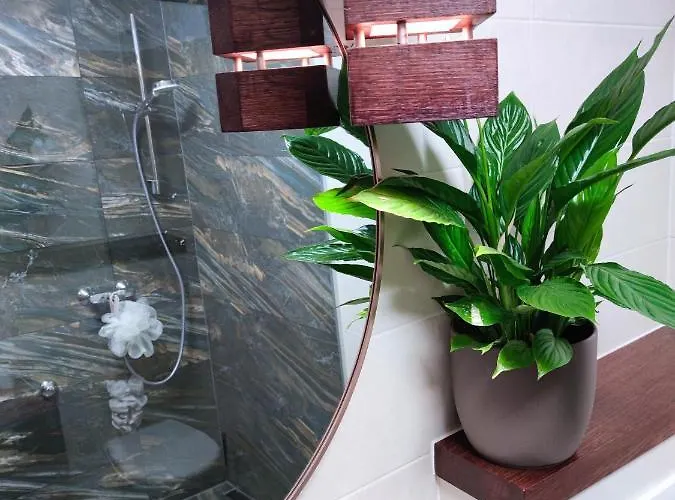 Art Gallery House With A Small Relaxing Pool * ツリクヴェニツァ