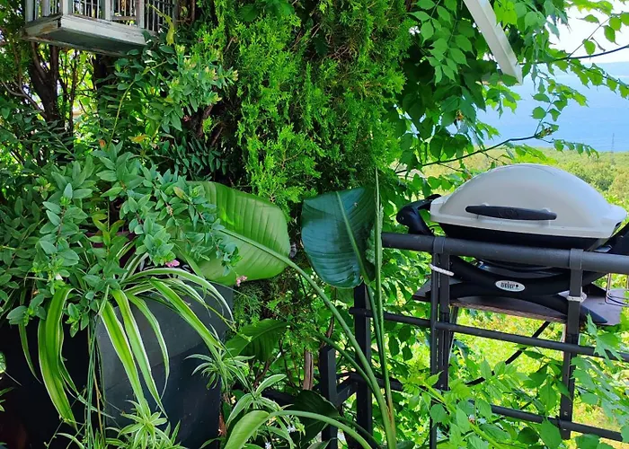 別荘 Art Gallery House With A Small Relaxing Pool *